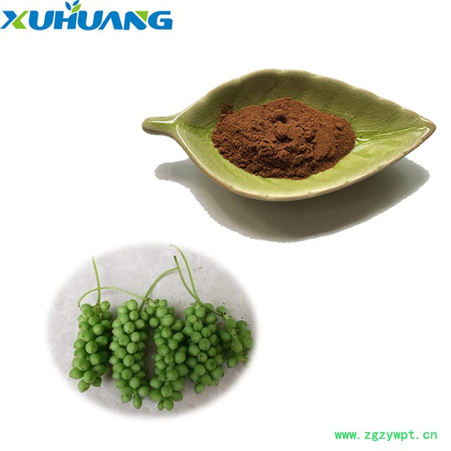 旭煌生物 五味子提取物 现货库存 大量批发图4