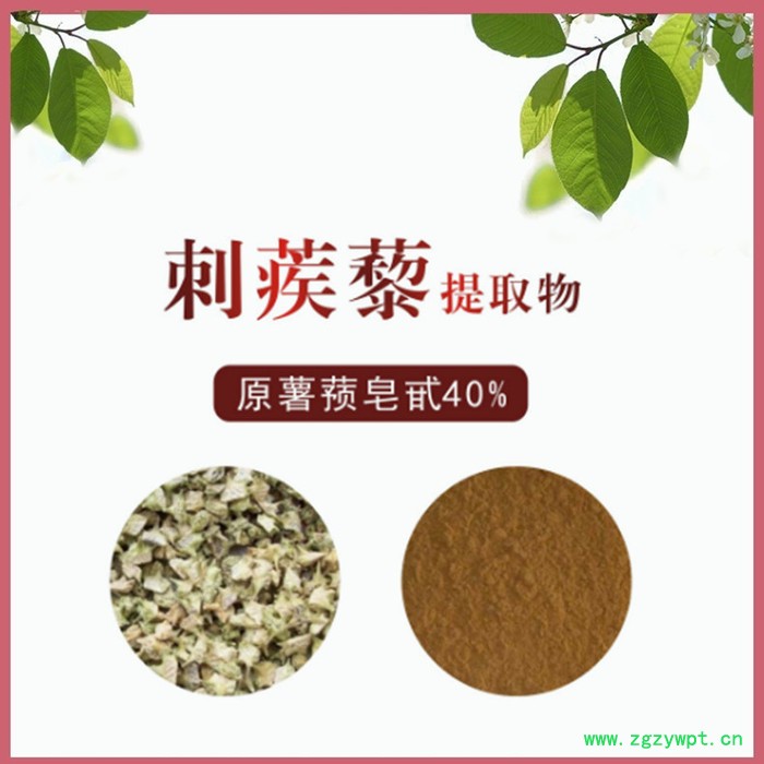 灵芝提取物 灵芝 破壁孢子粉 灵芝多糖 多种规格供应图3