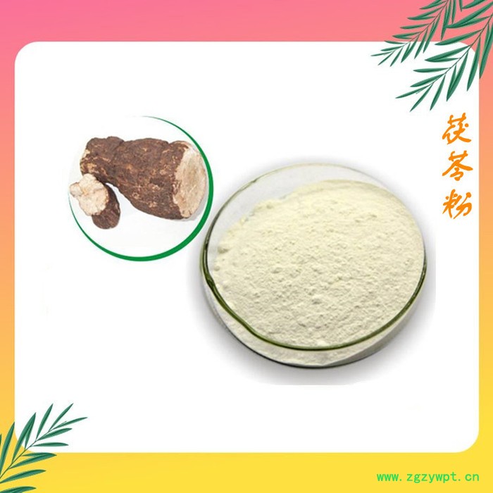 茯苓粉 茯苓提取物 茯苓浓缩粉 可定制图2