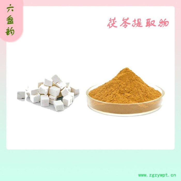 茯苓粉 茯苓提取物 茯苓浓缩粉 可定制图3