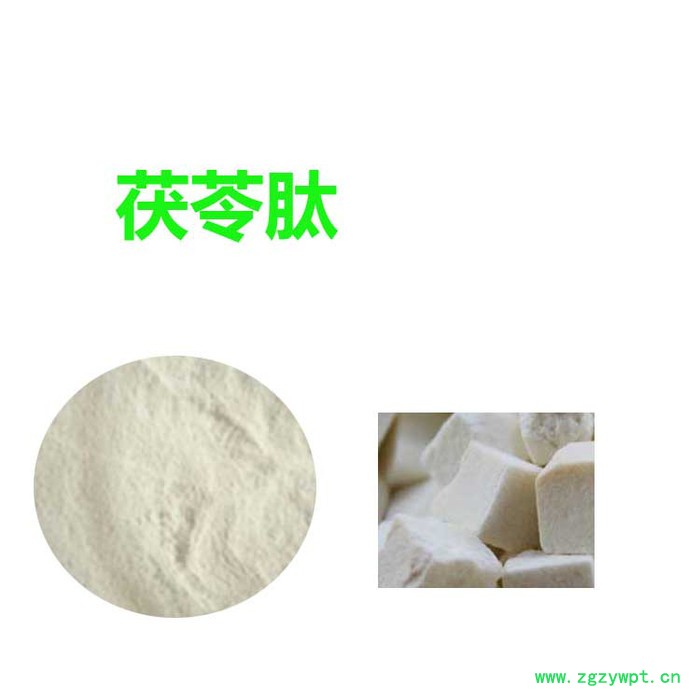 甘肃斯诺特 茯苓多肽    量大从优       茯苓多肽图5