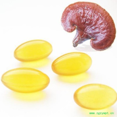 尖峰 破壁灵芝孢子油30% 破壁灵芝孢子油厂家