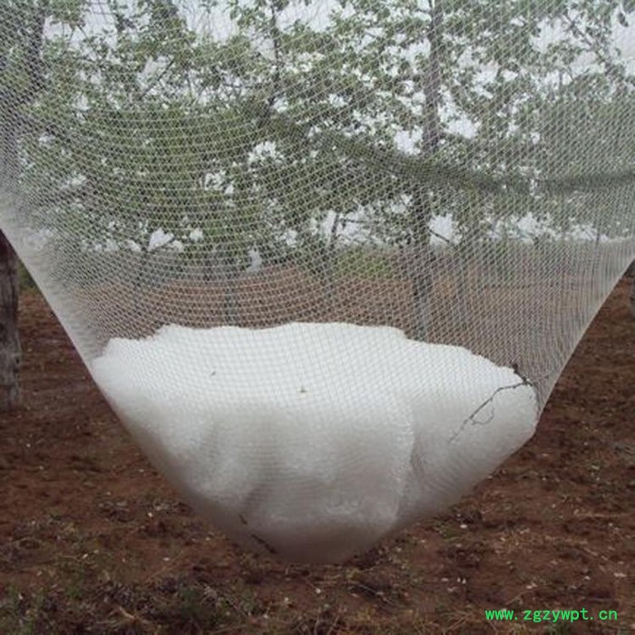 雅润 防雹网厂家 石斛种植防雹网 田七防雹网 山西防雹网图3