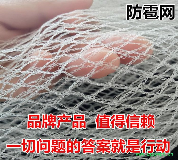 雅润 防雹网厂家 石斛种植防雹网 田七防雹网 山西防雹网图4