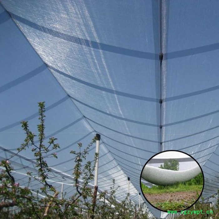 雅润 防雹网厂家 石斛种植防雹网 田七防雹网 山西防雹网图2