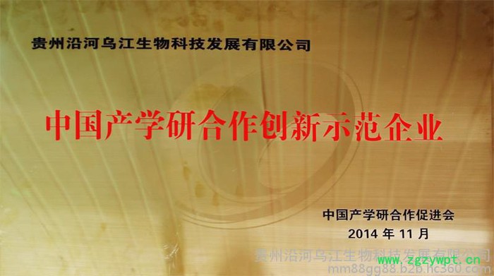 铁皮石斛鲜条（寒涧）铁皮石斛图5