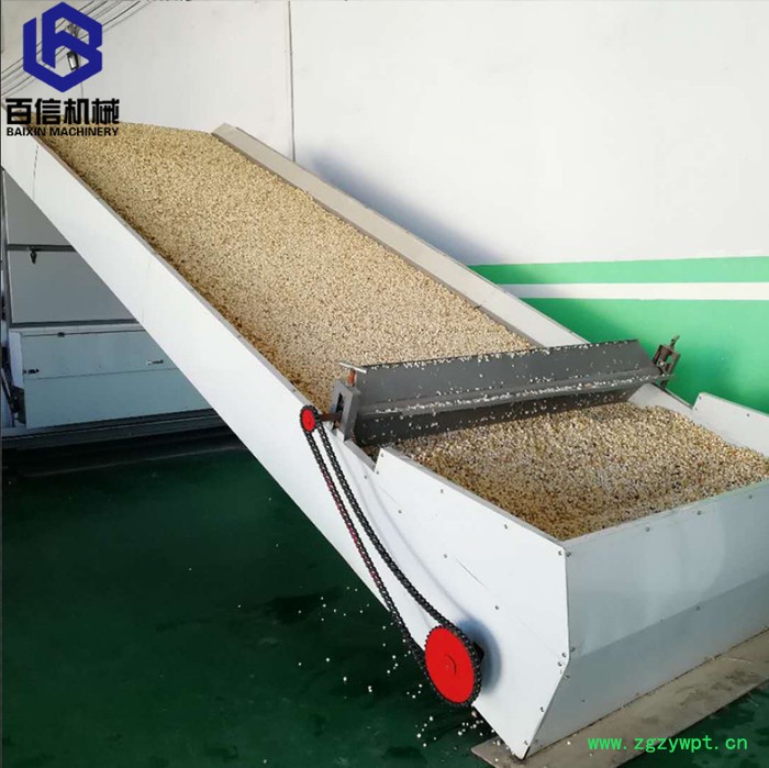 河南百信多层带灵芝烘干设备  大型灵芝烘干机   连续式灵芝脱水设备图3