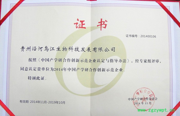 寒涧铁皮石斛枫斗图4