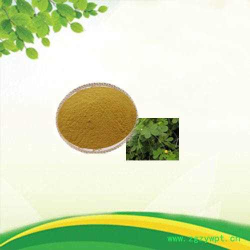 植物提取物  茯苓多糖 50%   茯苓提取物图7