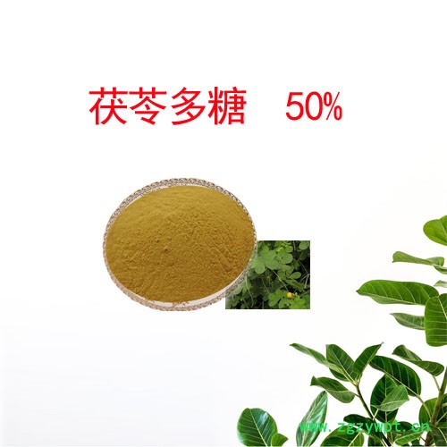 植物提取物  茯苓多糖 50%   茯苓提取物图5