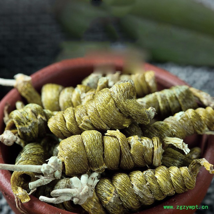 别山本草【斛香村】正宗霍山米斛安徽霍山石斛特级龙头凤尾仿**石斛枫斗图2