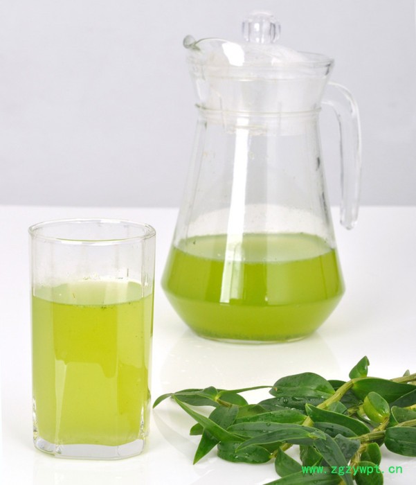 铁皮石斛鲜条 **精选铁皮石斛鲜条 真品新鲜铁皮石斛图2