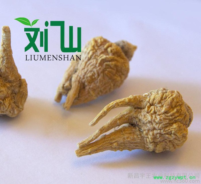 黄黑玛卡（特级）图2