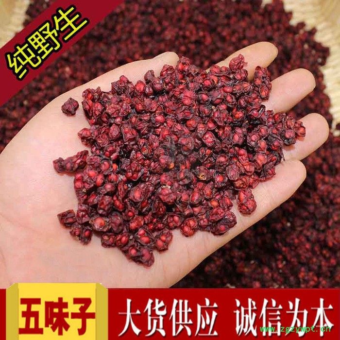 北方五味子价格**五味子树中药材批发五味子图3