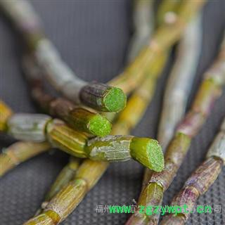 福州知食宜新鲜铁皮石斛切片图3