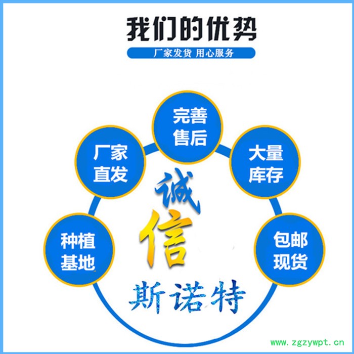 茯苓速溶粉 茯苓多糖 茯苓粉 厂家供应图2