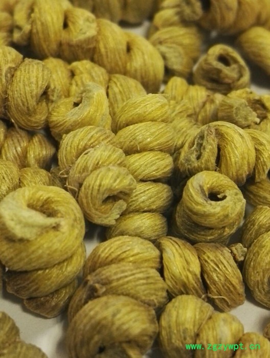 仙斛兰韵正宗铁皮石斛枫斗图5