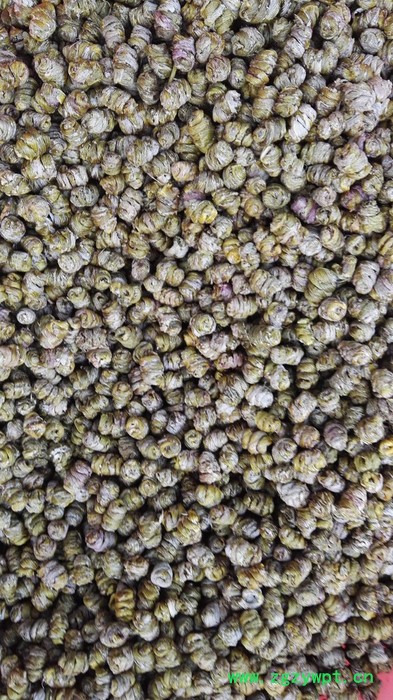 供应  凡草秀 铁皮石斛枫斗图2