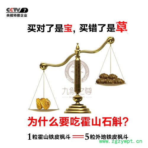 九斛之尊霍山石斛枫斗图2