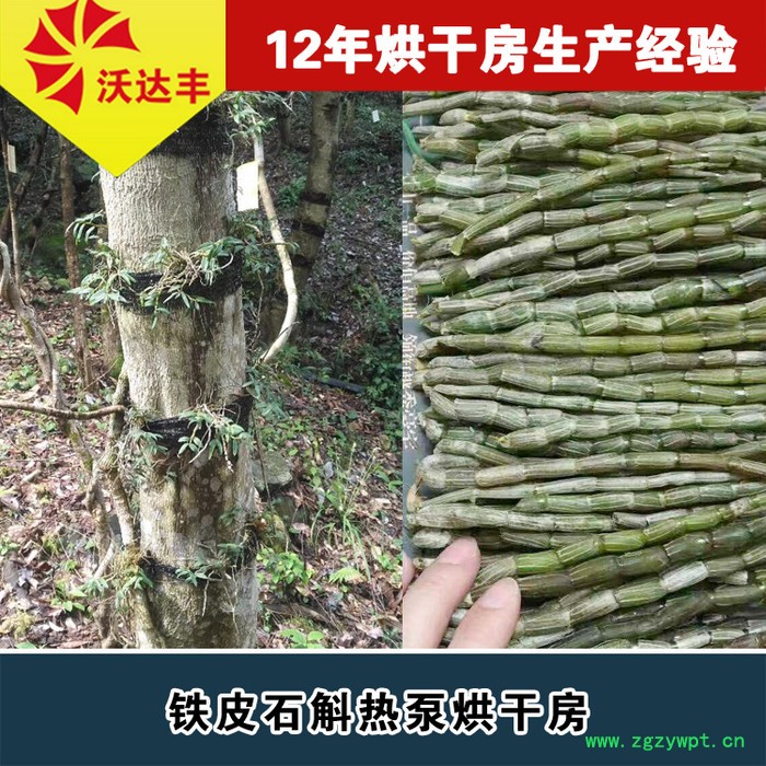 铁皮石斛烘干箱 铁皮石斛烤房  花茎类药材烘干房图7
