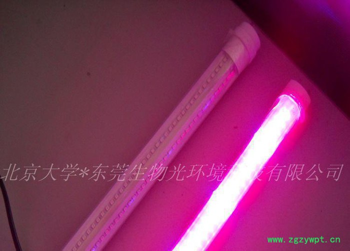 种植生长灯,石斛生长灯,led条形灯,石斛种植生长灯,山东生长灯,山图3
