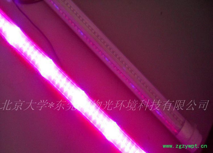种植生长灯,石斛生长灯,led条形灯,石斛种植生长灯,山东生长灯,山
