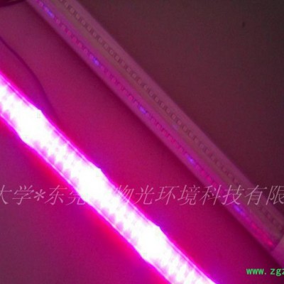 种植生长灯,石斛生长灯,led条形灯,石斛种植生长灯,山东生长灯,山