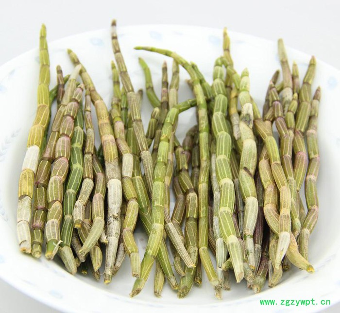 产地货源正宗霍山铁皮石斛鲜条 新鲜石斛三年生网店代理基地现采图3