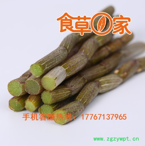 食草一家 铁皮石斛 正宗铁皮石斛散装批发，浙江莫干山基地直供图2