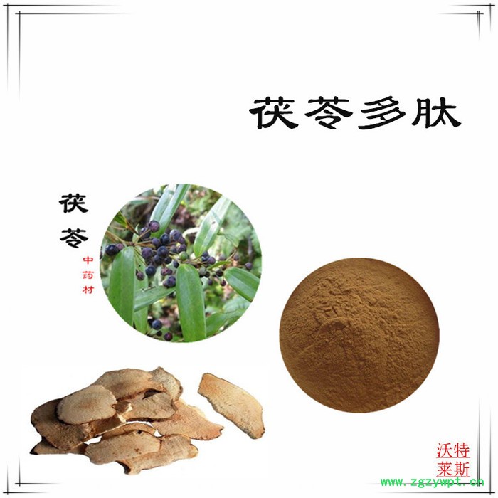 茯苓多糖 30% 茯苓提取物10:1  茯苓粉图3