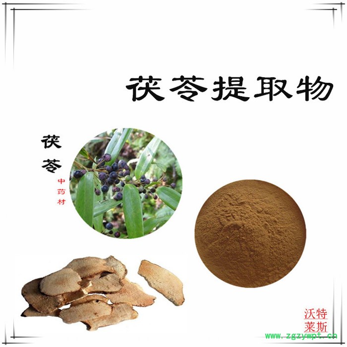 茯苓多糖 30% 茯苓提取物10:1  茯苓粉图2