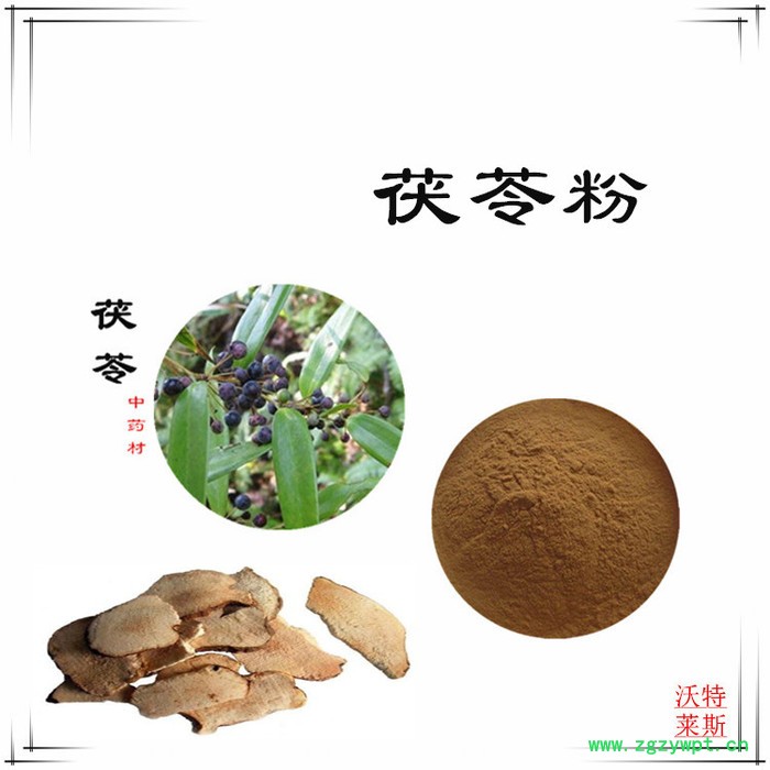 茯苓多糖 30% 茯苓提取物10:1  茯苓粉图4