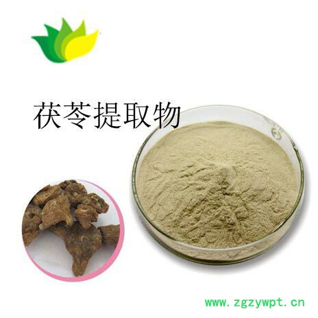 茯苓提取物证件全图2