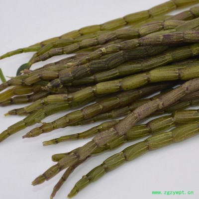 正宗铁皮石斛鲜条三年以上，胶质浓厚，全国包邮