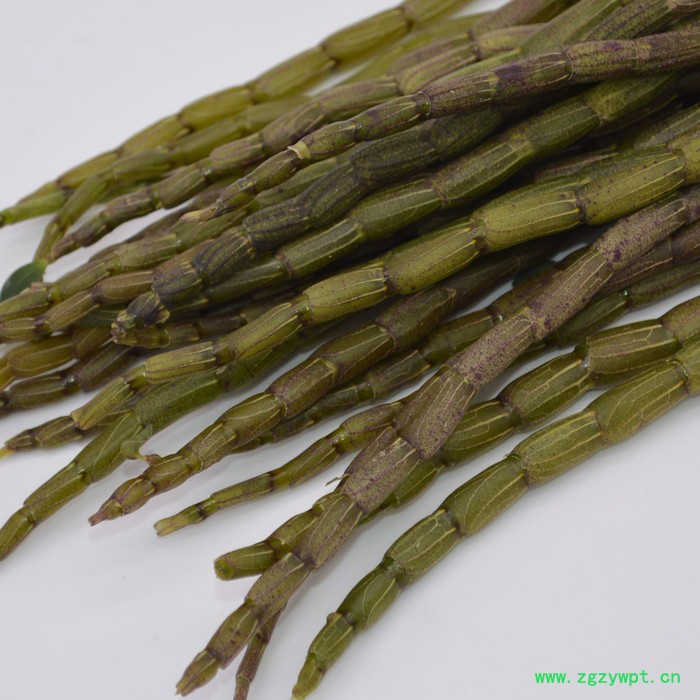 正宗铁皮石斛鲜条三年以上，胶质浓厚，全国包邮图2