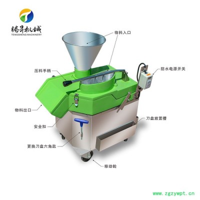腾昇TS-Q311多功能式切菜机 根茎类果蔬切菜机 萝卜切片机 茯苓切片机 生姜切片机