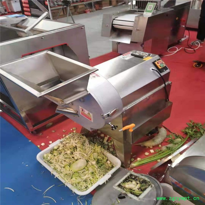 佳硕带机头胡萝卜切丝机 灵芝切片机 多功能天麻切丁机图7