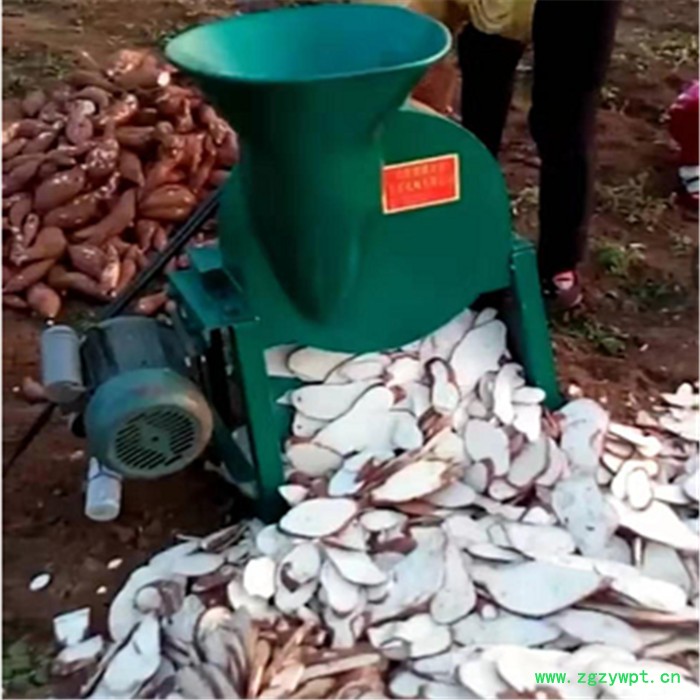 佳硕带机头胡萝卜切丝机 灵芝切片机 多功能天麻切丁机图8