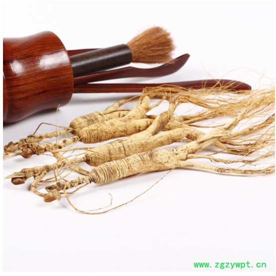 灵芝山参泡酒移山参下林下参图2