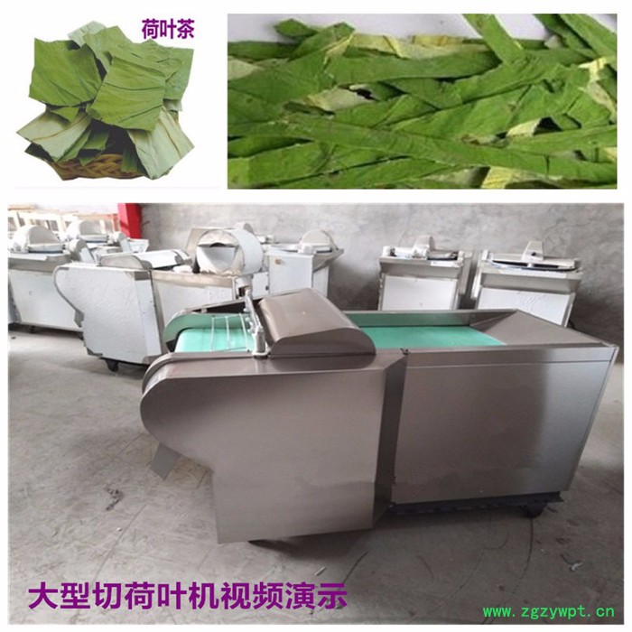 灵芝切片机 药材切片机 小型两相电何首乌切片机图7