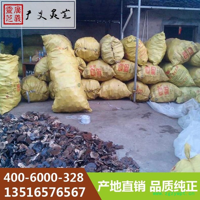 云南黑灵芝厂家 **黑灵芝价格广义灵芝图3