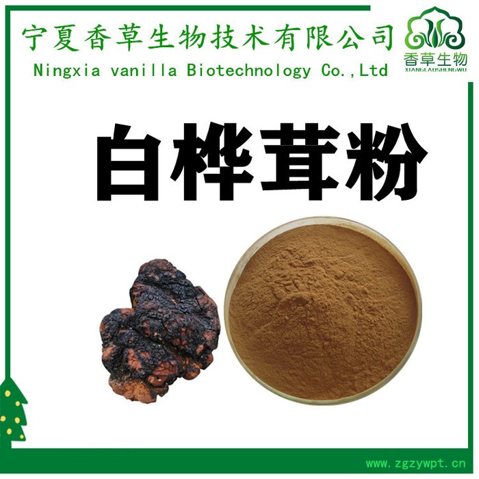 白桦茸肽85% 桦树茸小分子肽 桦褐孔菌糖肽批发图4
