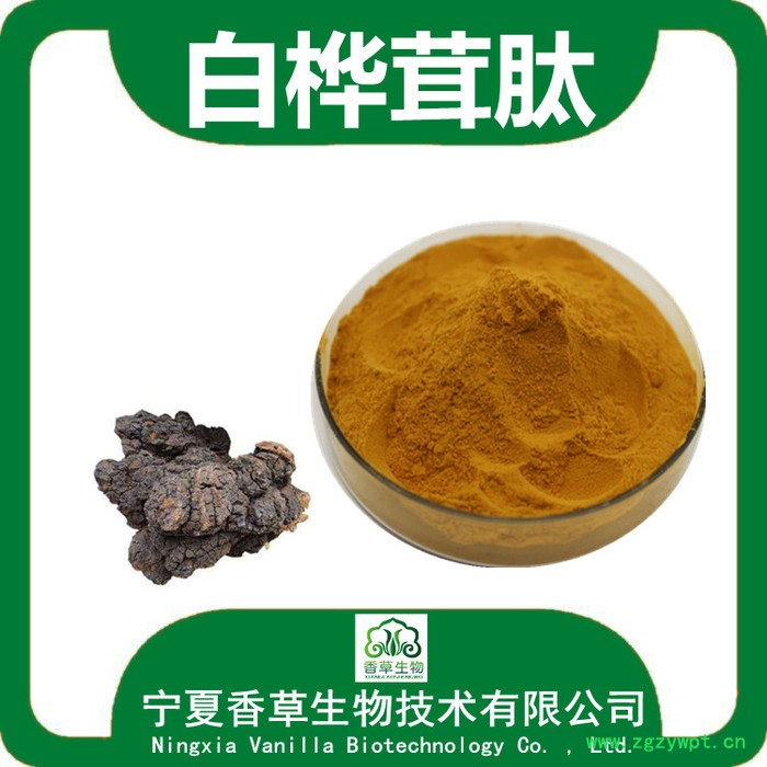 白桦茸肽85% 桦树茸小分子肽 桦褐孔菌糖肽批发图5