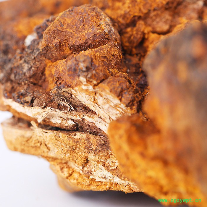 中药桦树茸价格 白桦茸100克 长白山桦褐孔菌图3