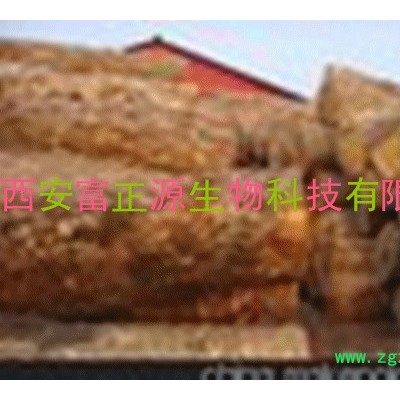 植提厂家专业供应天然白桦茸提取物/多糖10%-40%