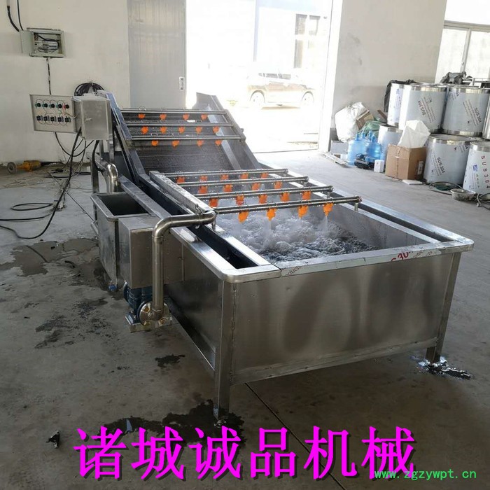 诚品 天麻毛辊清洗机 桔梗毛辊清洗机 圆葱去皮清洗机 地瓜去泥去皮清洗机 土茯苓去皮去泥清洗机 ** 价格优惠图3