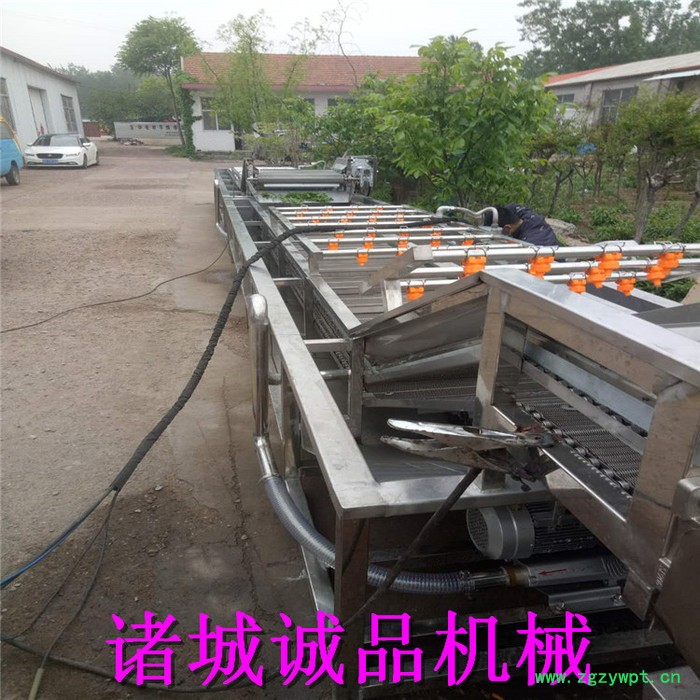 诚品 天麻毛辊清洗机 桔梗毛辊清洗机 圆葱去皮清洗机 地瓜去泥去皮清洗机 土茯苓去皮去泥清洗机 ** 价格优惠图4