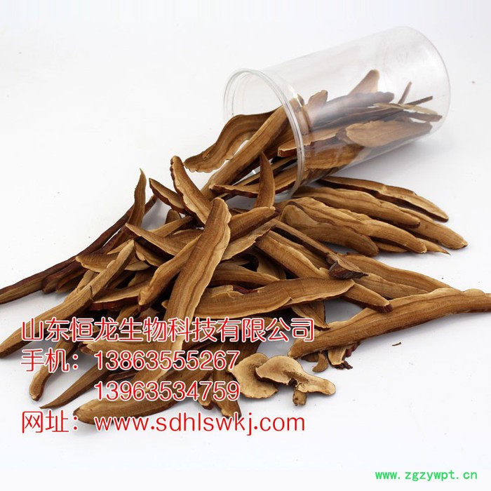 山东恒龙灵芝供应商 批发精选灵芝切片 半**南韩灵芝切片