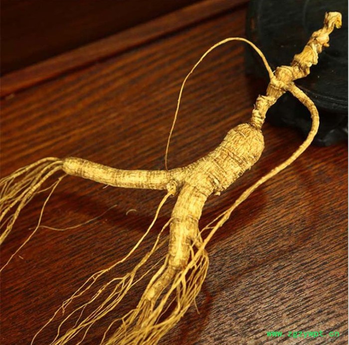 灵芝山参泡酒移山参野山参人参泡酒图2