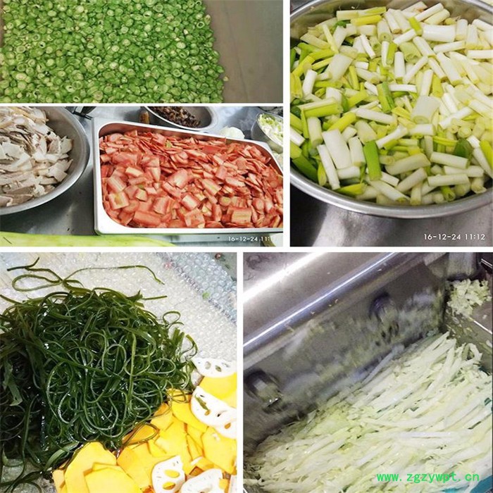 切笋丝机笋片机 白萝卜切条机 灵芝切片机切段机图2